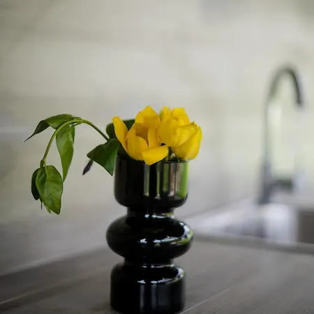 Casa Montagna * フロリナ