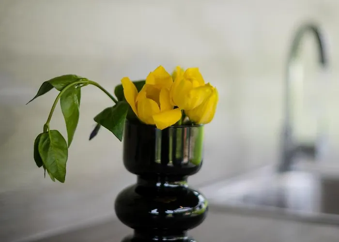 Casa Montagna * Φλώρινα